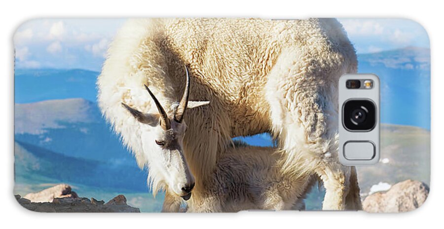 Mountain Goats Galaxy Case featuring the photograph A Nanny Goat and Her Baby Mountain Goat by OLena Art