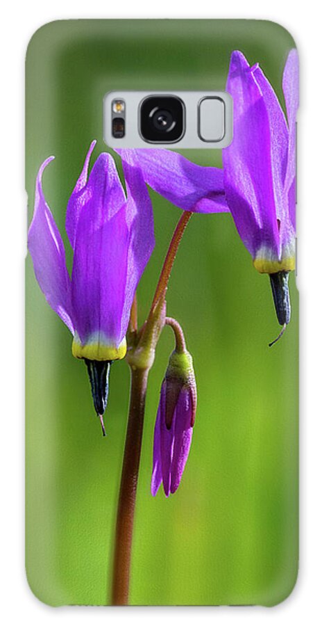 Purple Galaxy Case featuring the photograph Mountain Meadow Shades of Purple 3 by John Rogers