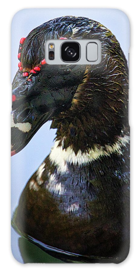 Duck Galaxy Case featuring the photograph Muscovy Duck by Rene Vasquez