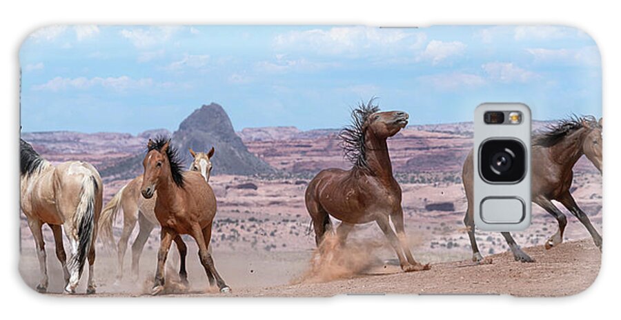 Stallion Galaxy Case featuring the photograph Mustangs of the American West. by Paul Martin