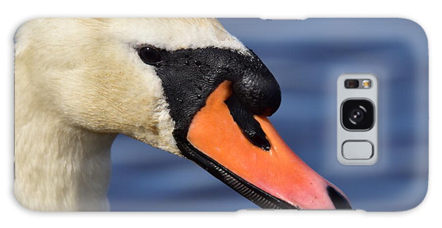 Mute Swan Galaxy Case featuring the photograph Mute Swan Portrait by Neil R Finlay
