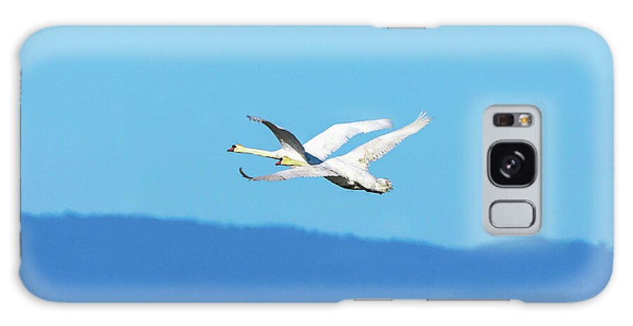 Swans Galaxy Case featuring the photograph Mute swans in flight by Tahmina Watson