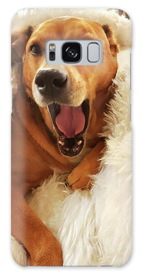 Puppy Galaxy Case featuring the photograph My Lil Angel by Giorgio Tuscani