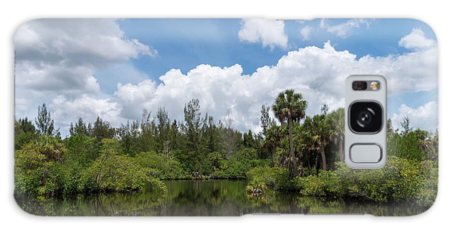 River Galaxy Case featuring the photograph Myakka River by Russ Burch