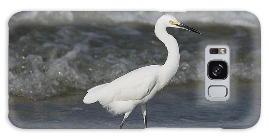 Snowy Egret Galaxy S8 Case featuring the photograph Mysterious Bird by Mingming Jiang