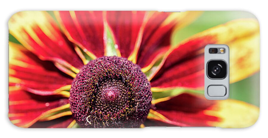 Yellow Flower Galaxy Case featuring the photograph Nature Photography Flower Macro by Amelia Pearn