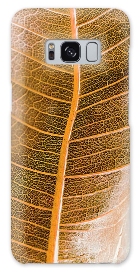Leaves Galaxy Case featuring the photograph Natures intricacies by Jorgo Photography