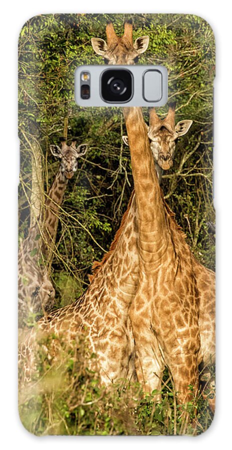 Lake Victoria Galaxy Case featuring the photograph Neck and Neck by Phil Marty