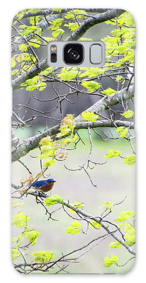 Bluebird Galaxy Case featuring the photograph New Life by Cheryl McClure