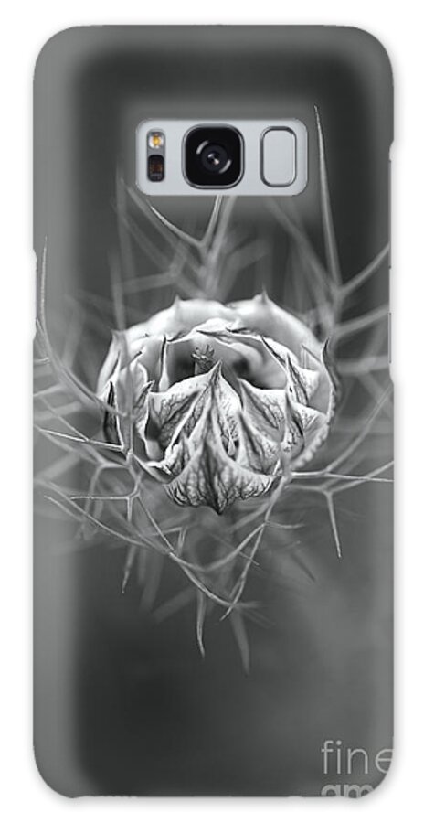 Nigella Galaxy Case featuring the photograph Nigella Flower Round Bud by Joy Watson