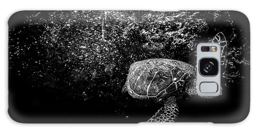 Night Turtle Galaxy Case featuring the photograph Night Turtle by Leonardo Dale