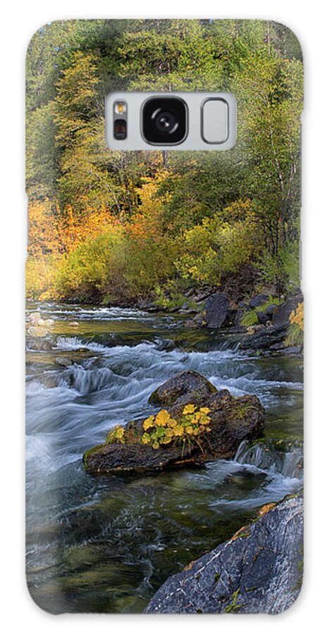Fall Galaxy Case featuring the photograph North Yuba's Beauty by Tom Kelly