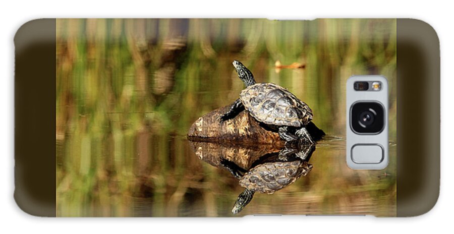Turtles Galaxy S8 Case featuring the photograph Northern Map Turtle by Debbie Oppermann