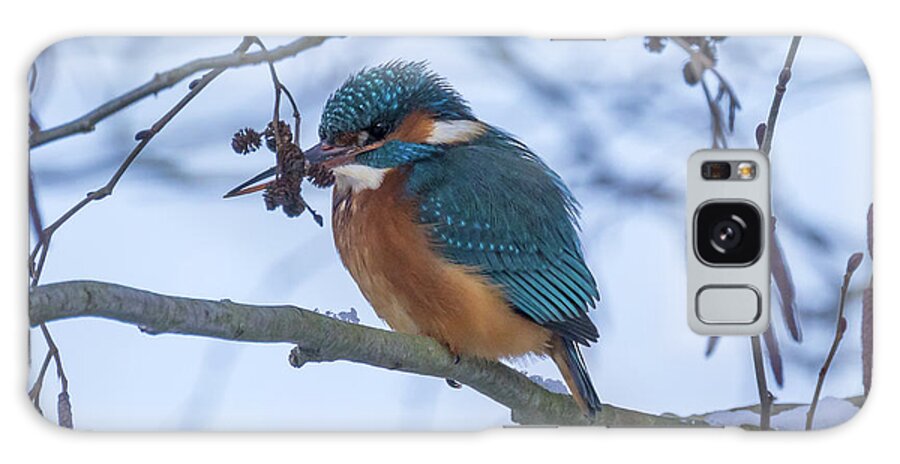European Kingfisher Galaxy Case featuring the photograph Not Freezing by Eva Lechner