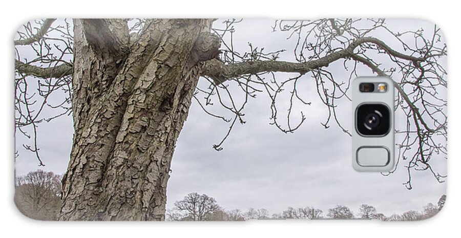 Oak Hill Park Galaxy Case featuring the photograph Oak Hill Park Trees Winter by Edmund Peston