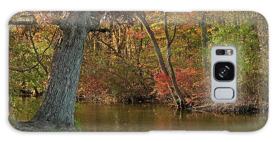 Oak Galaxy Case featuring the photograph Oak Tree on the Edge and Stream by Randy Pollard