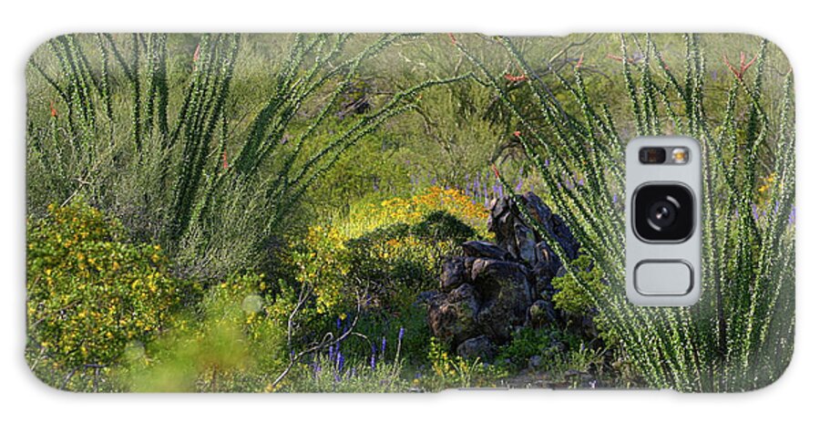 Desert Galaxy Case featuring the photograph Ocotillo Rock Garden by Gene Taylor