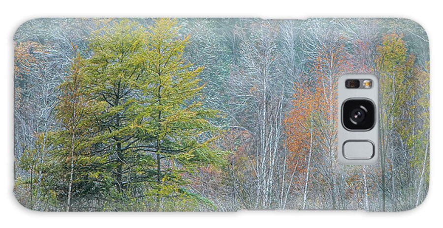 Trees Galaxy Case featuring the photograph October Early Snow by Trey Foerster