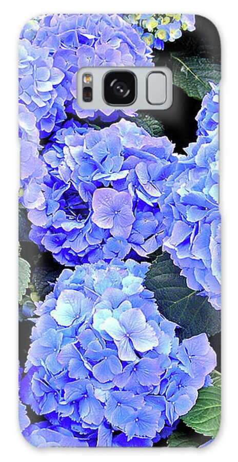 Blue Hydrangea Flowers Galaxy Case featuring the photograph Oh That Color by Susan Maxwell Schmidt