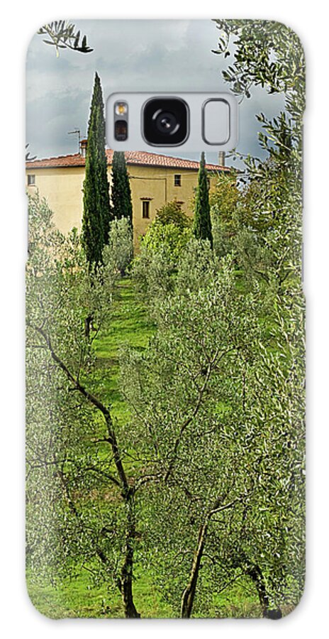 Italy Galaxy Case featuring the photograph Olive Grove Villa by Jill Love