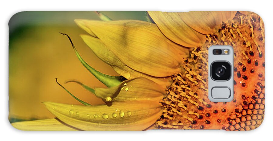 Plants Galaxy Case featuring the photograph On the sunny side by Buddy Scott