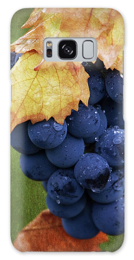 Grapes Galaxy Case featuring the photograph On The Vine by Dale Kincaid