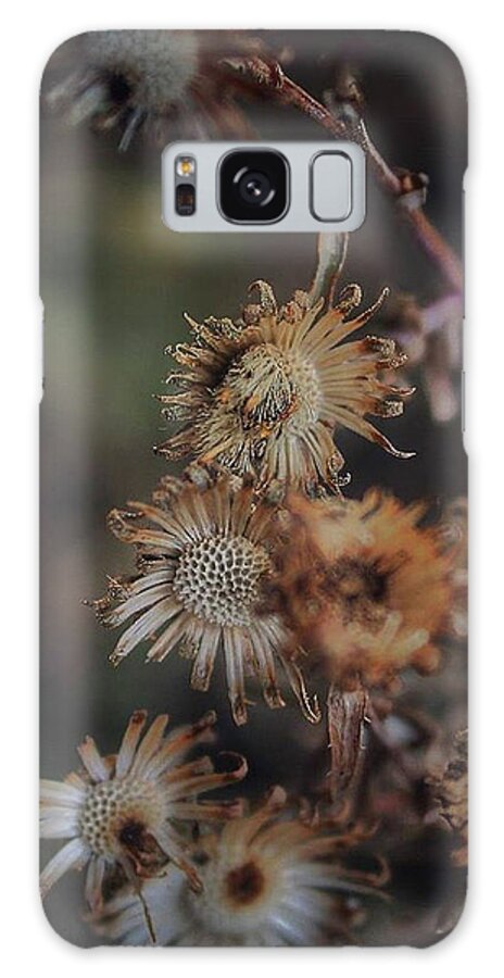 Mountain Galaxy Case featuring the photograph On the Way Out by Go and Flow Photos