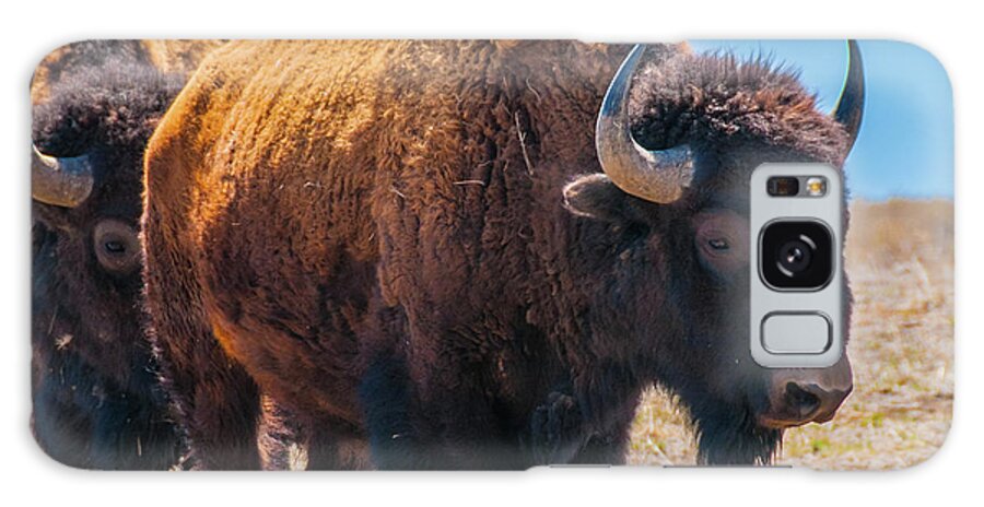 Agriculture Galaxy Case featuring the photograph Bison in Field in the Daytime by Tom Potter