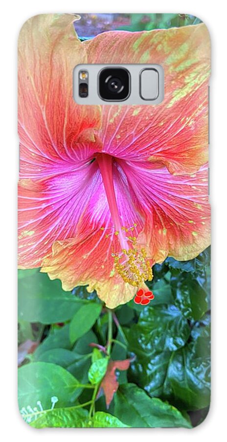 Flower Galaxy Case featuring the photograph Orange And Pink Hibiscus by Jeff Iverson