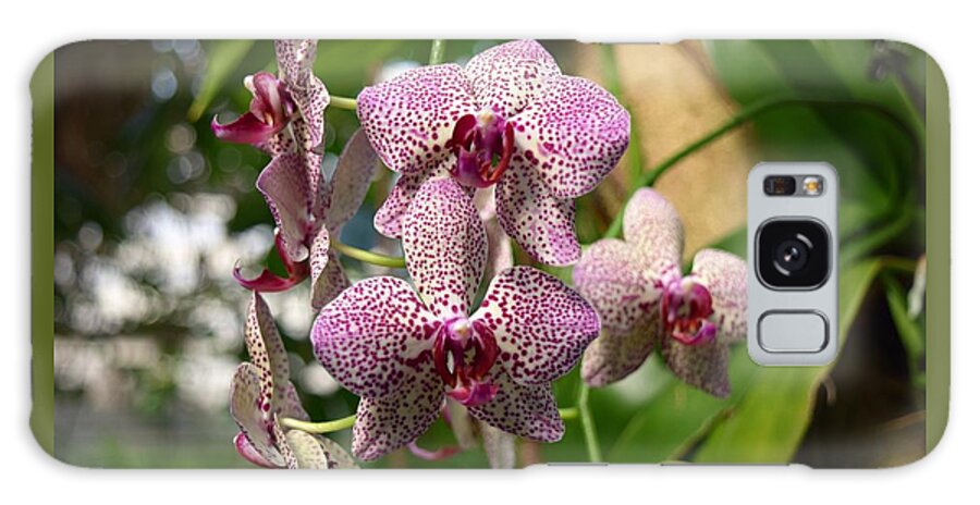 Spotted Orchids Galaxy Case featuring the photograph Orchids by Victor Thomason