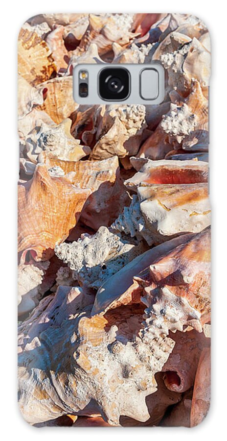 Beach Galaxy Case featuring the photograph Outer Banks Beach Sea Shells by Dan Carmichael