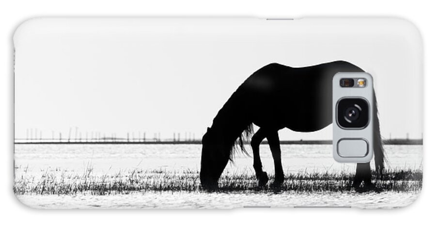 Wild Mustang Galaxy Case featuring the photograph Outer Banks Wild Mustang Silhouette by Bob Decker