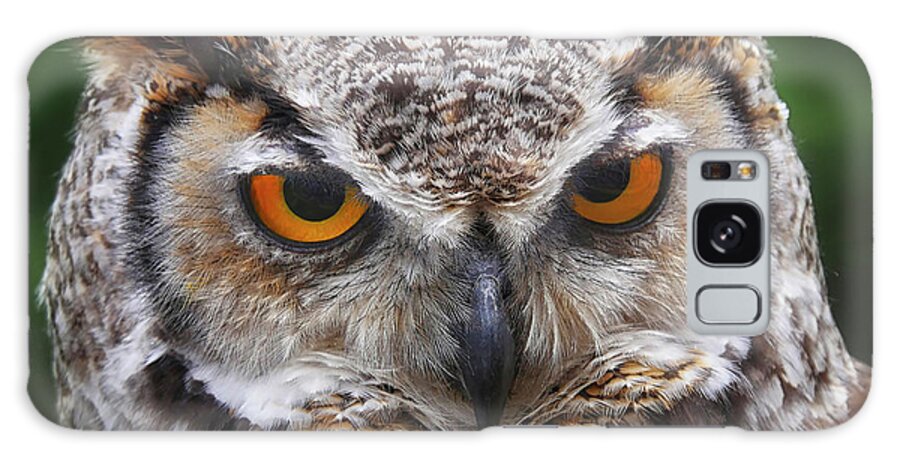 Photograph Galaxy Case featuring the photograph Owl by Louise Tanguay