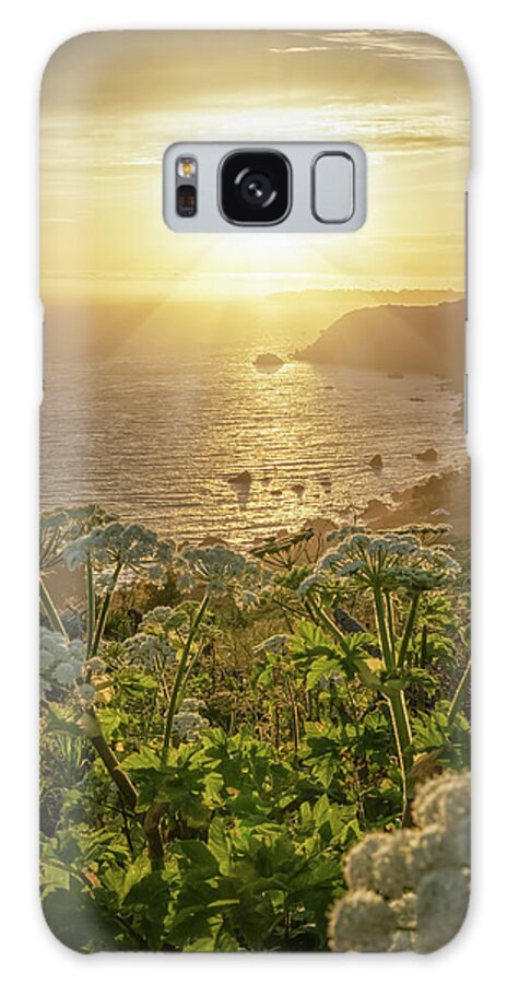 24-70mm Galaxy Case featuring the photograph Pacific Coast Highway by Steve Berkley