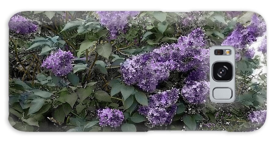 Lilac Galaxy Case featuring the photograph Painted Lilacs by Wayne King