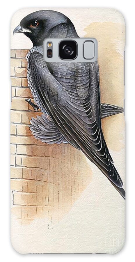 Bird Galaxy Case featuring the painting Painting Martinet European Bird bird nature illus by N Akkash