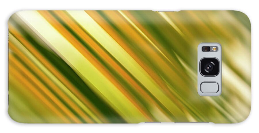 Palm Frond Galaxy Case featuring the photograph Palm Frond Motion Blur by Christopher Johnson