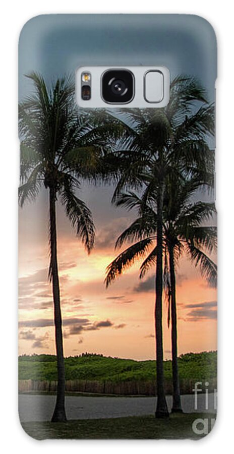 Sunset Galaxy Case featuring the photograph Palm Tree Sunset, South Beach, Miami, Florida by Beachtown Views