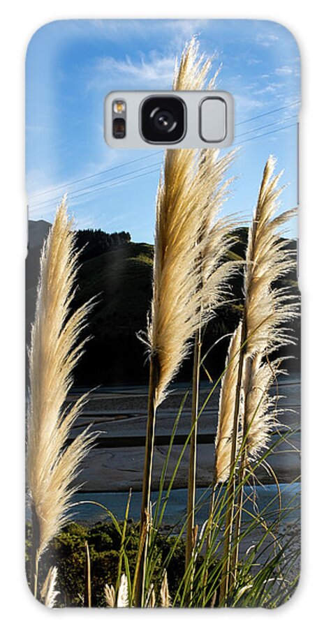 Pampas Grass Galaxy Case featuring the photograph Still I Rise - Pampas Grass, New Zealand by Earth And Spirit