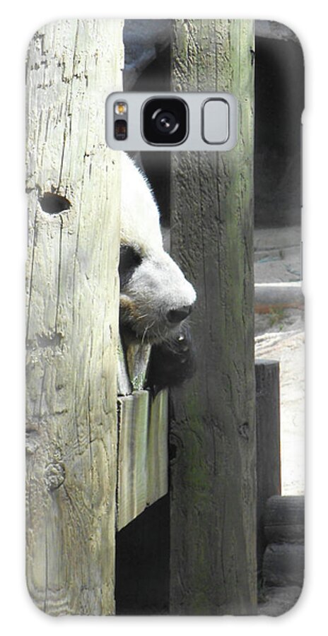 Panda Galaxy Case featuring the photograph Panda Nap by Heather E Harman