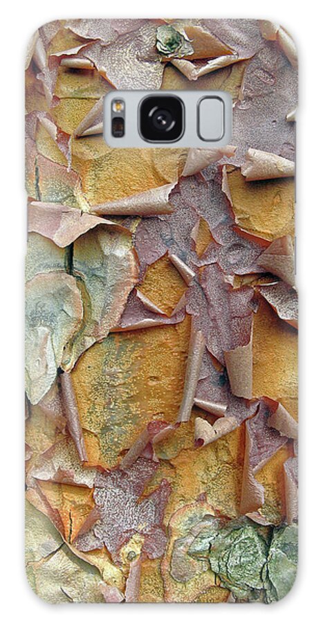 Tree Galaxy Case featuring the photograph Paperbark Maple Tree by Jessica Jenney