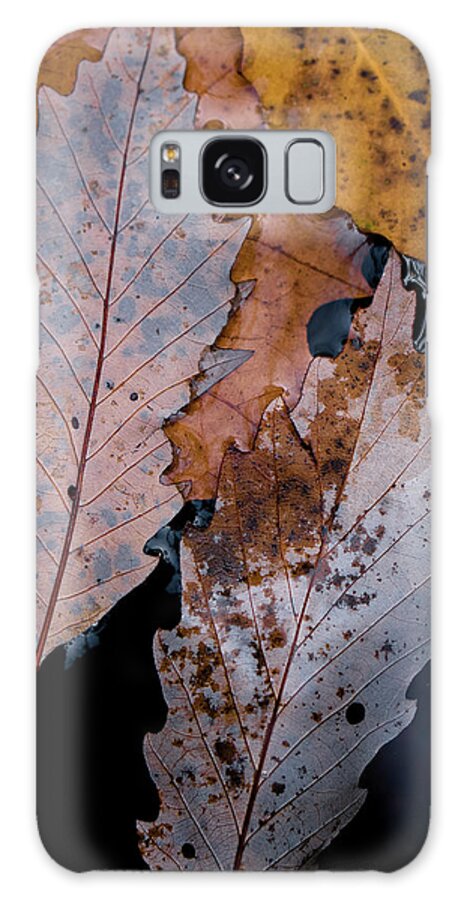Falling Galaxy Case featuring the photograph Parallel Lines by Iris Greenwell