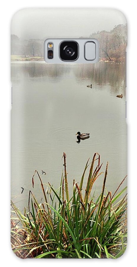 The Lake Nyc Galaxy Case featuring the photograph Pastoral NYC Lost in Fog by Judy Frisk
