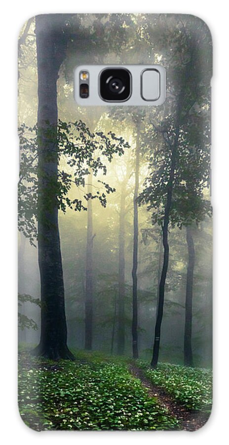 Balkan Mountains Galaxy Case featuring the photograph Path In the Mist by Evgeni Dinev