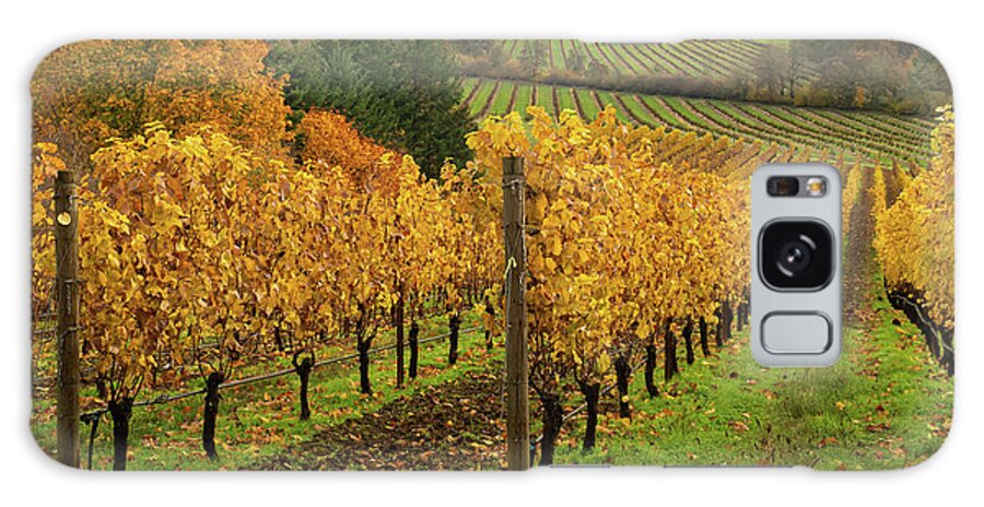 Vineyard Galaxy Case featuring the photograph Patterns of Fall in the Vineyard by Leslie Struxness