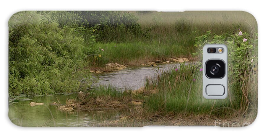 Boardwalk Galaxy Case featuring the photograph Peace in the Prairie by Patti Powers