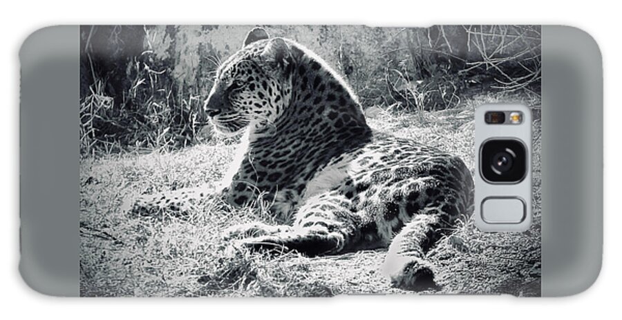 Leopard Galaxy Case featuring the photograph Peaceful Leopard BW by Linda Brittain