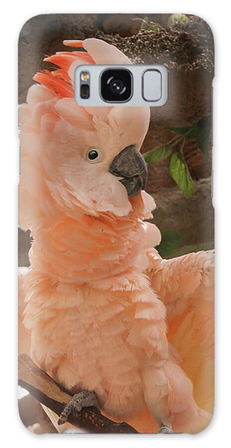 Cockatoo Galaxy Case featuring the photograph Peach Cockatoo by Sally Bauer