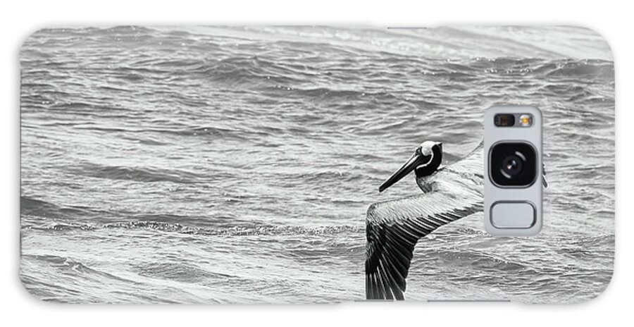 Brown Pelican Galaxy Case featuring the photograph Pelican Glide by Dawn Currie