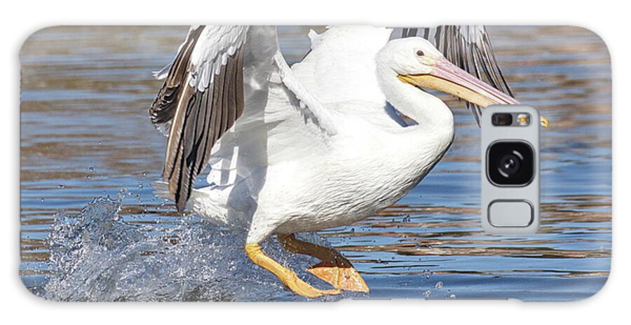 Pelican Wings Grey White Water Ocean Pacific Wake Orange Legs Bill Black Eyes Galaxy Case featuring the digital art Pelican Landing by Kathleen Boyles